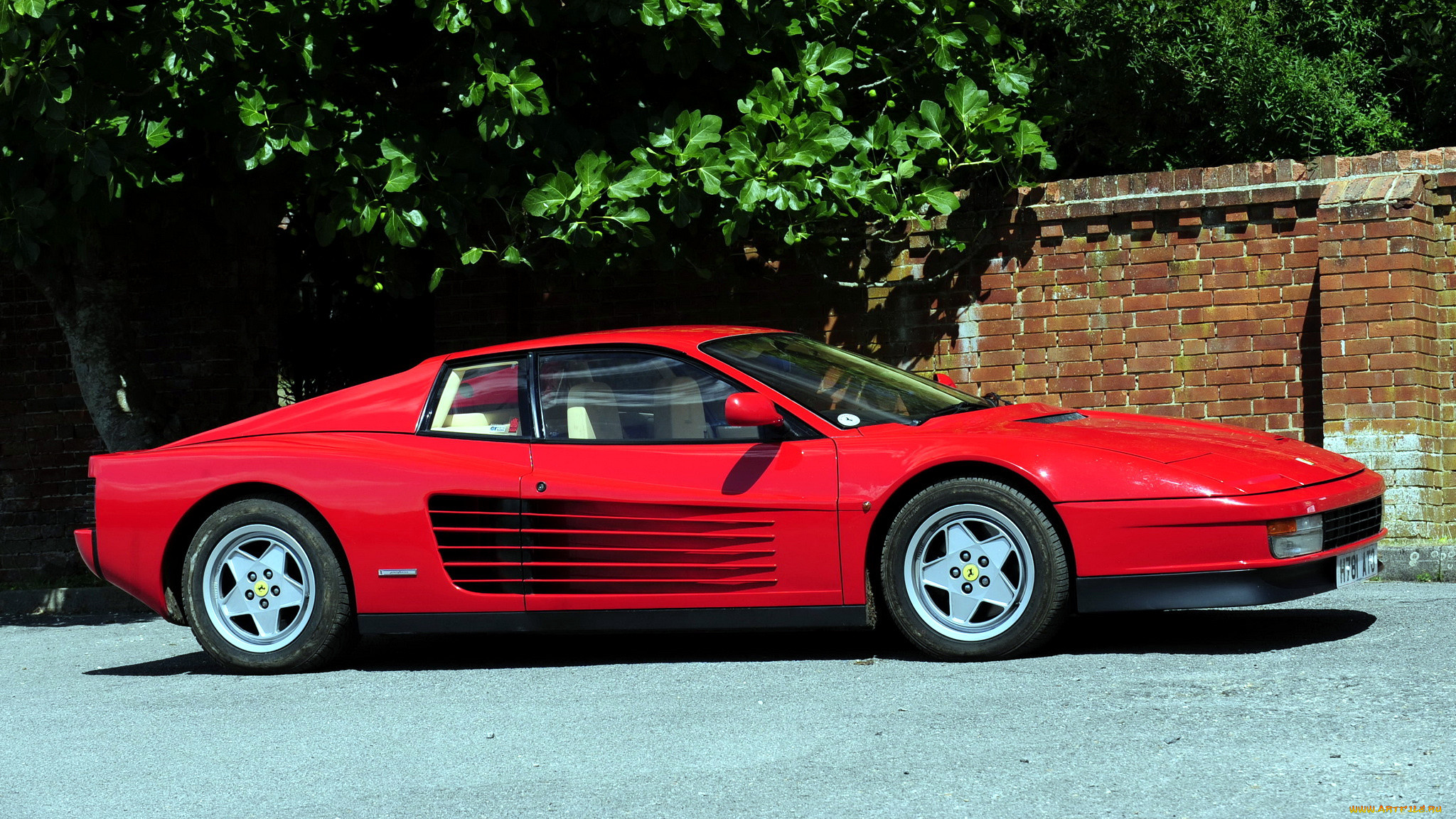 ferrari, 512, testarossa, , , , s, p, a, 
